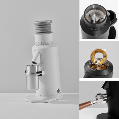 110V / 220V SSP Burr Coffee Grinder For Hotel garantia de 1 ano